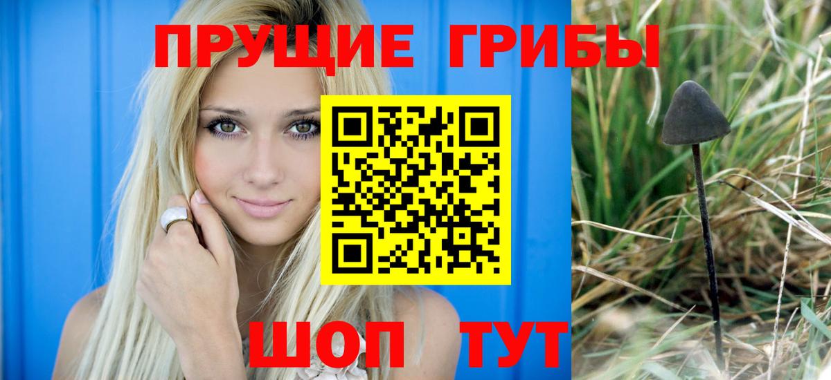 Галлюциногенные грибы Cubensis  Вход с VPN  Нижнеудинск 