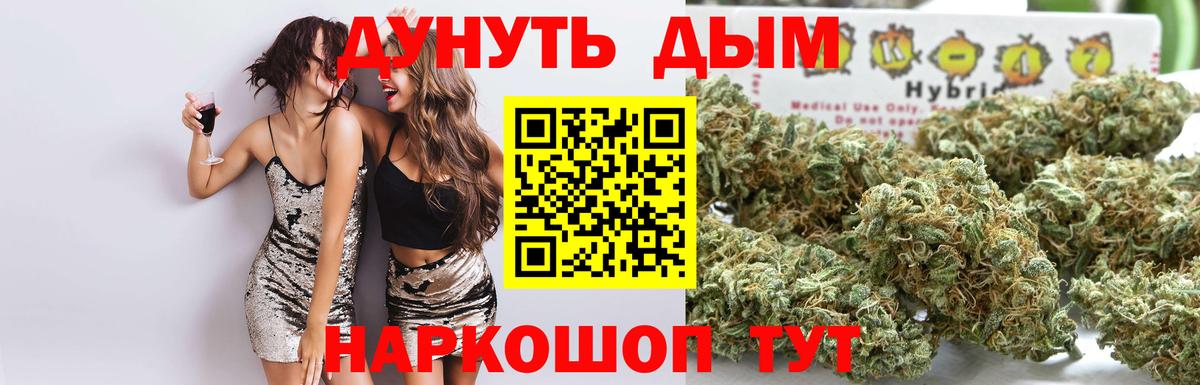 Шишки марихуана план Нижнеудинск